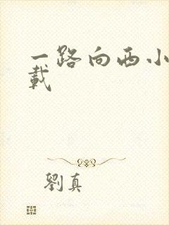 一路向西小说下载