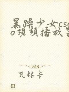 暴躁少女csgo视频播放器推荐