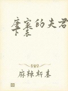 唐家的夫君们帘下衾