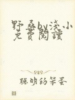 野桑by浅小说免费阅读