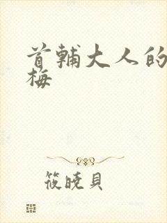 首辅大人的小青梅