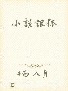 小说银狐