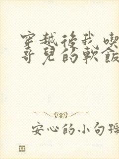 穿越后我吃到了哥儿的软饭炉山灰