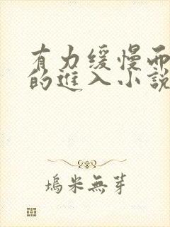 有力缓慢而坚定的进入小说