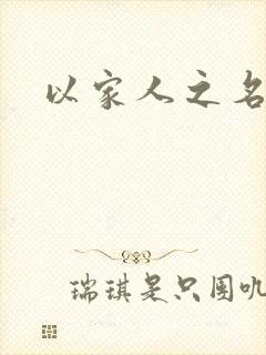 以家人之名小说