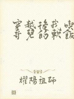 穿越后我吃到了哥儿的软饭炉山灰