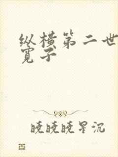 纵横第二世界 宽子