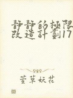 静静的极限自我改造计划17