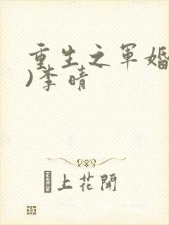 重生之军婚(h)李晴