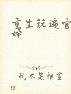 重生玩遍官场贵妇