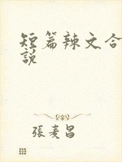 短篇辣文合集小说