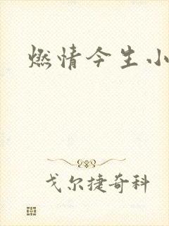 燃情今生小说