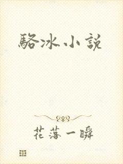 骆冰小说