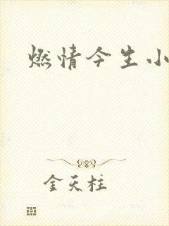 燃情今生小说