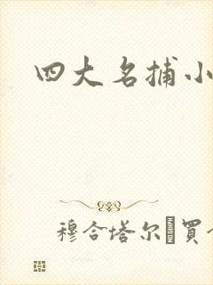 四大名捕小说