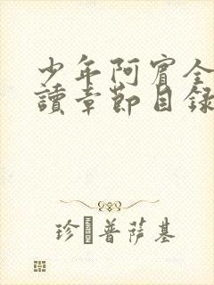 少年阿宾全文阅读章节目录