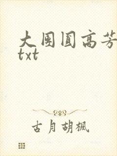 大团圆高芳小说txt
