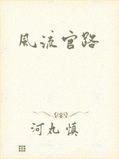 风流官路