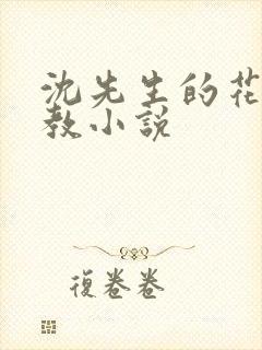 沈先生的花式管教小说