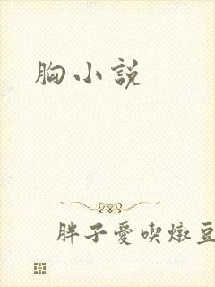胸小说