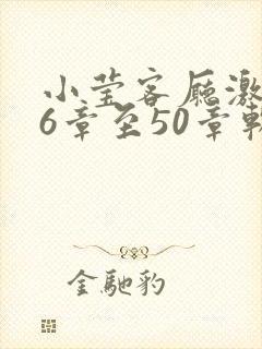 小莹客厅激情46章至50章软件介绍