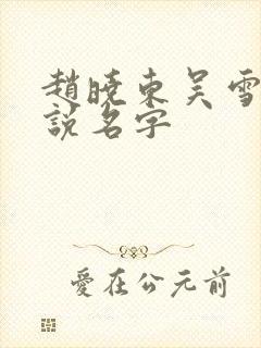 赵晓东吴雪晴小说名字