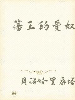 藩王的爱奴