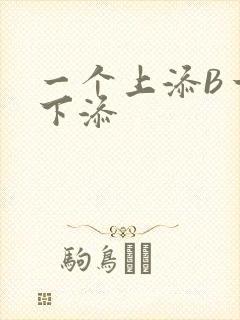 一个上添B一个下添