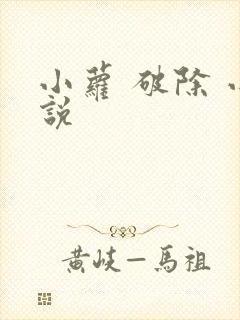 小萝 破除 小说