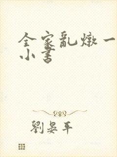 全家乱炖一锅烩小书