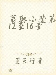 翁与小莹第十部12至16章