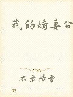 我的娇妻公务员