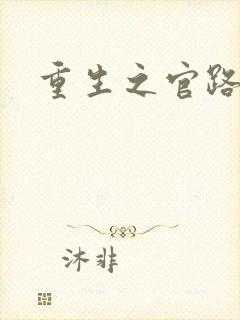 重生之官路风流