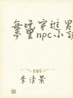 每晚穿进男神的梦里npc小说