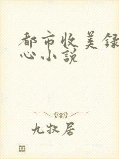 都市收美录宁素心小说