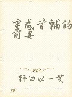 穿成首辅的炮灰前妻