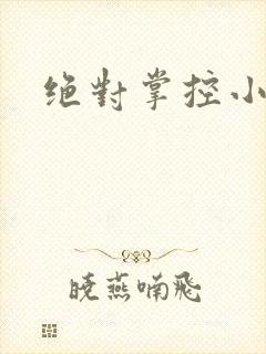 绝对掌控小说