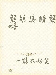 系统集精系统高嗨