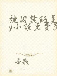 被囚禁的美人by小说免费阅读