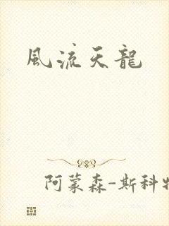 风流天龙