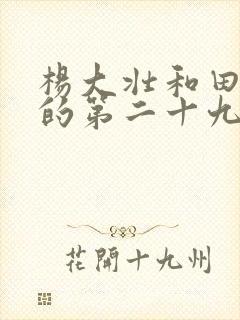 杨大壮和田桂花的第二十九