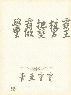 学霸把校霸往死里做双男主车