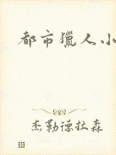 都市猎人小说