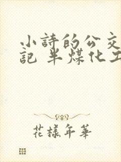 小诗的公交车日记 半煤化工