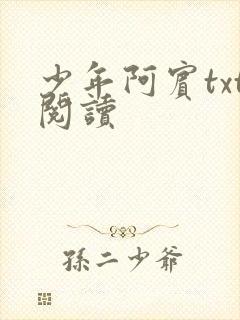 少年阿宾txt阅读