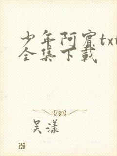 少年阿宾txt全集下载