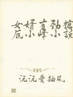 女婿有劲枪枪到底小峰小说