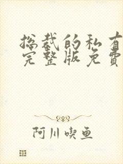 总裁的私有宝贝完整版免费阅读