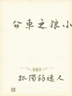 公车之狼小说