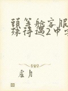 头等舱客服的特殊待遇2中字